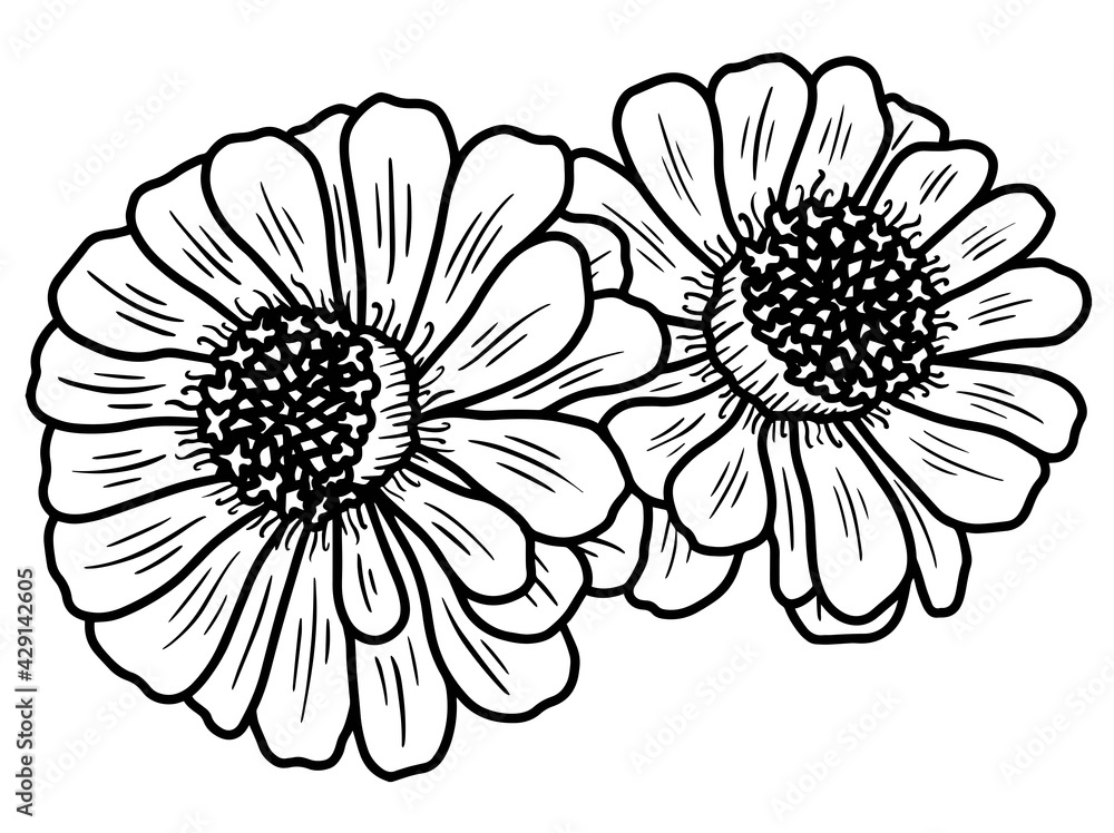 Hand drawing and sketch flower with line art illustration. Hand drawing and sketch flower with line art illustration.