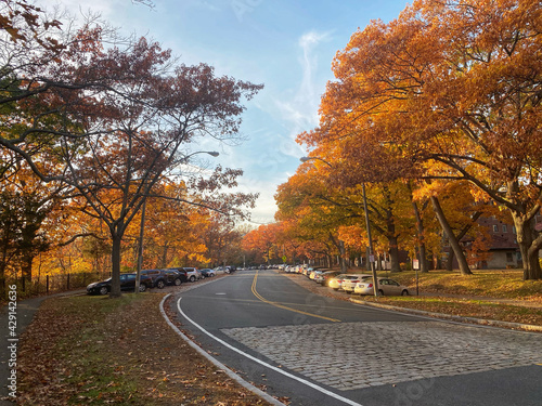 street in autumn