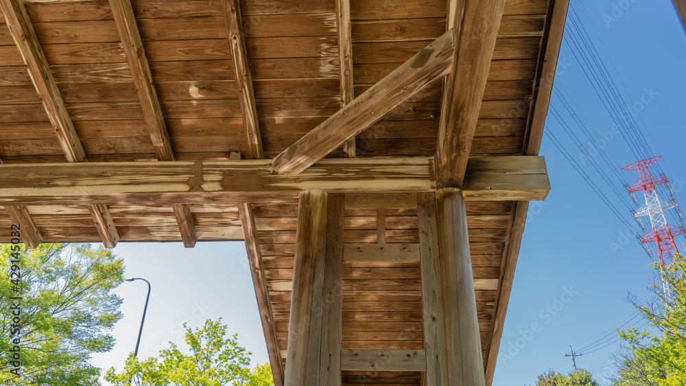 Obraz premium Park pavilion and forest landscape