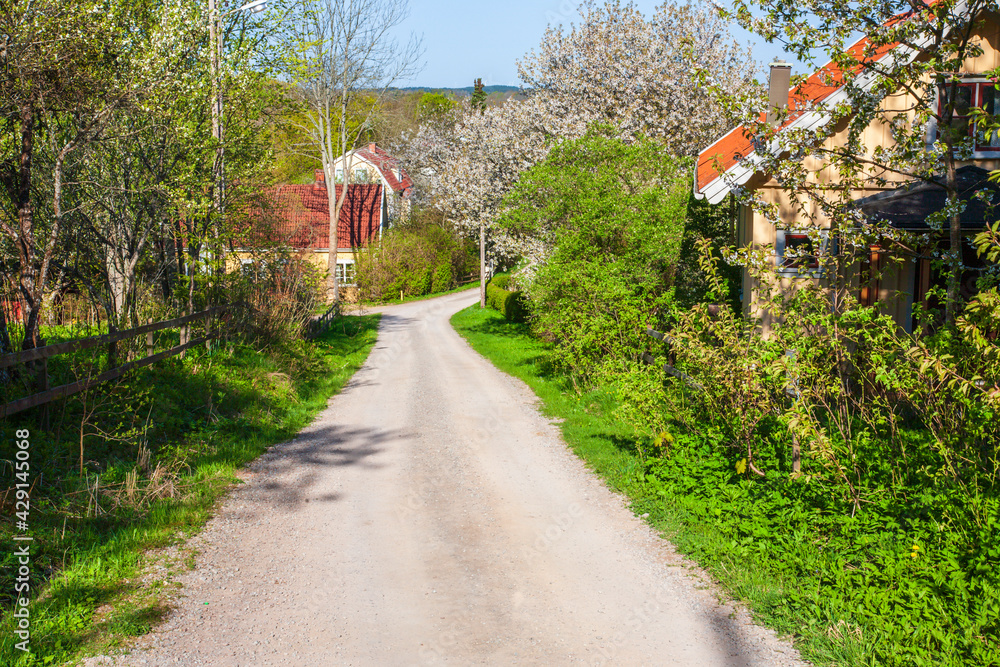 Road through an idyllic village in the countryside