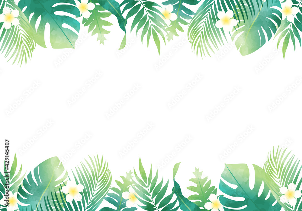 夏の植物の葉っぱ数種類のベクターイラストフレーム背景 Stock Vector Adobe Stock 夏の植物の葉っぱ数種類のベクターイラストフレーム背景 Stock Vector Adobe Stock