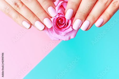 Female hands with manicure on pink and blue background  copy space