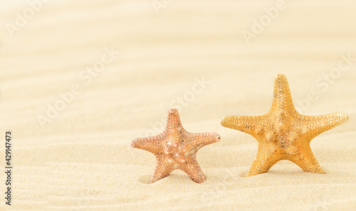 The summer background with two starfishes on the sand
