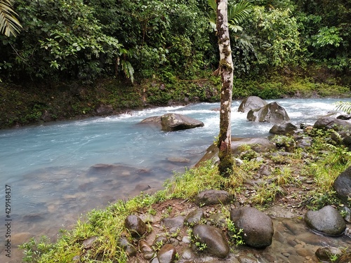 pacuare photo