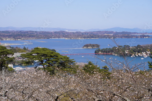 桜越しの松島海岸と福浦橋の風景、宮城県松島町/Matsushima islands over the cherry blossoms in Tohoku, Japan