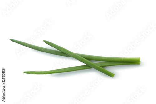 Bild auf Leinwand Fresh green onion isolated on white background