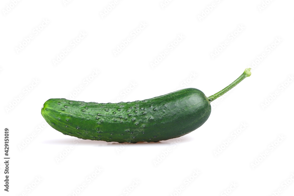 Fresh cucumber isolated on white background Fresh cucumber isolated on white background