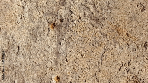 stone wall texture