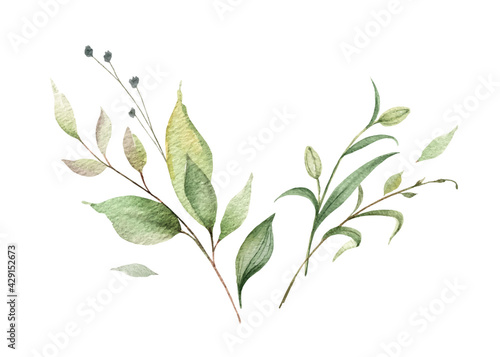 Watercolor vector bouquet of green branches and leaves.