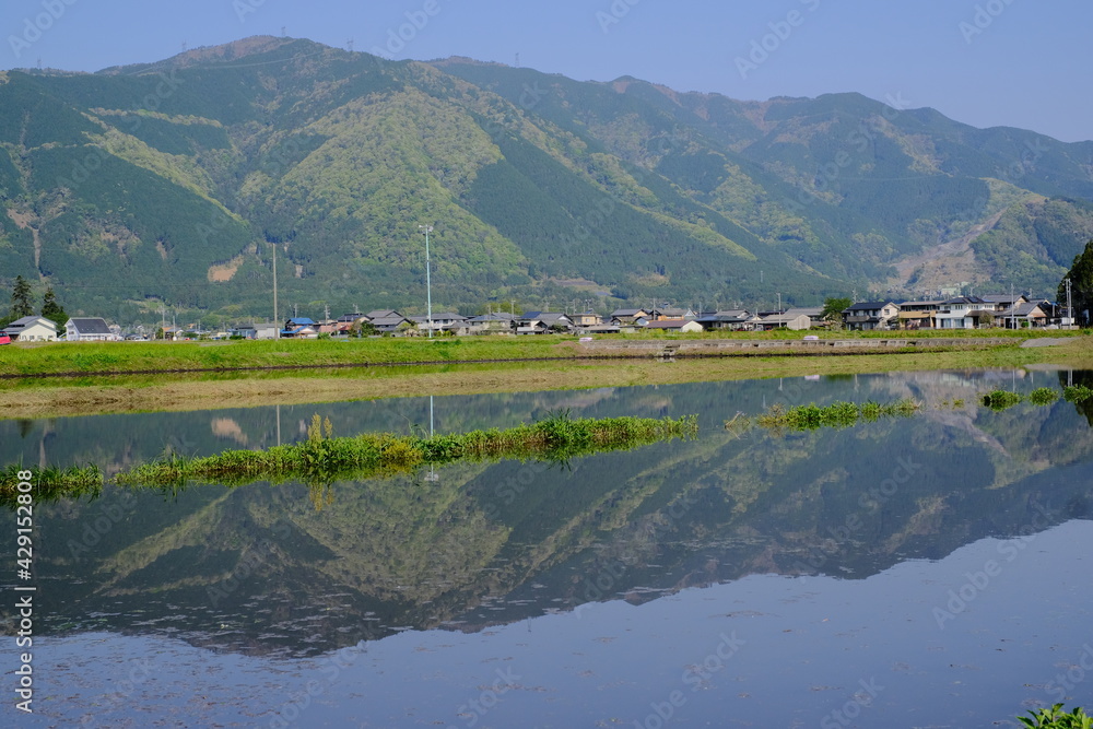 landscape of rice field in Japan