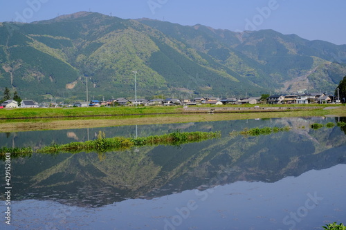 landscape of rice field in Japan