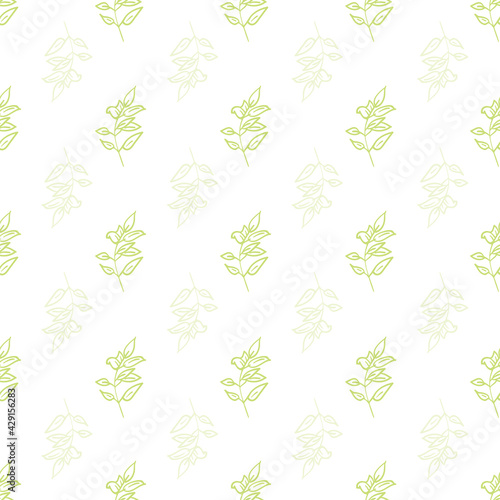 Vector white background herbs, leaf, flowers and plants texture seamless pattern. Seamless pattern background
