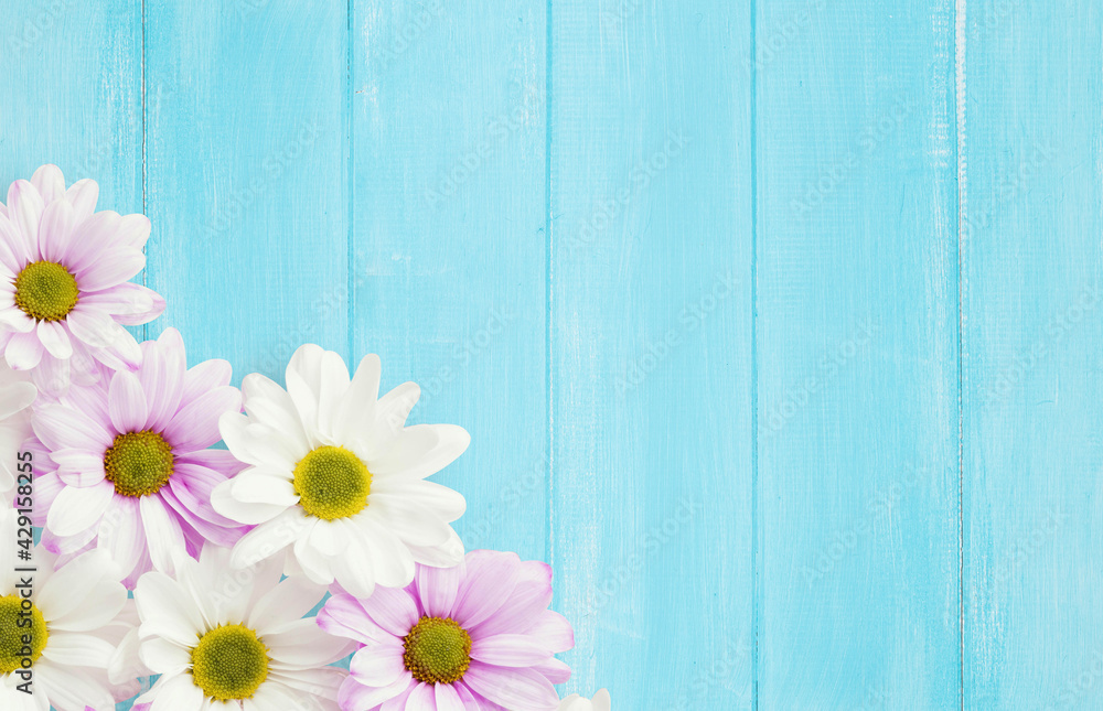 Obraz premium Garden flowers over blue wooden table background. Backdrop with copy space