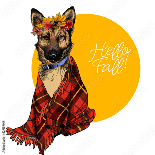 Vector portrait of german shepherd dog wearing autumn leaves and blanket. Hello fall illustration. Oak, maple, chestnut, rowen. Hand drawn pet portait. Poster, print, postcard, seasonal greeting.
