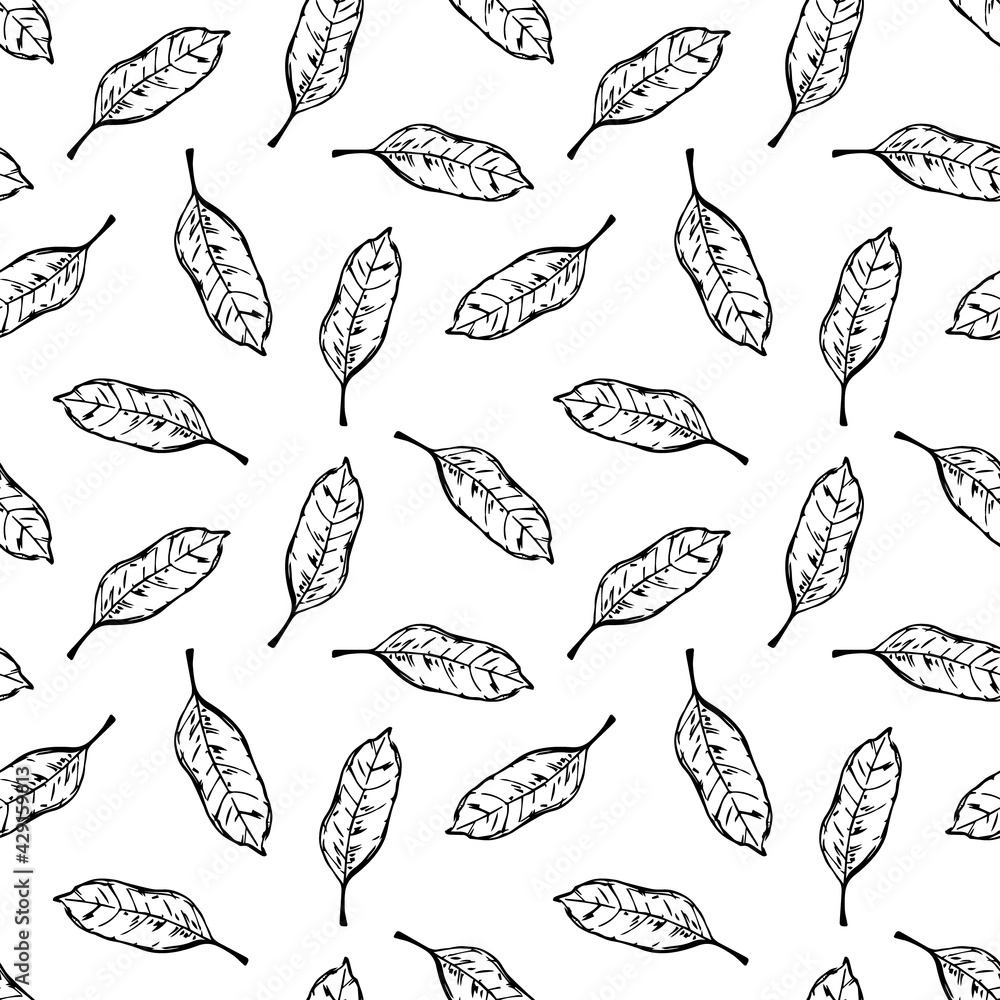 black and white outlined sketchy leaves seamless pattern, endless repeatable foliage texture black and white outlined sketchy leaves seamless pattern, endless repeatable foliage texture
