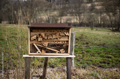 insect hotel made from wood