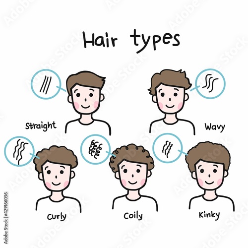 Man hair types cartoon vector infographic illustration
