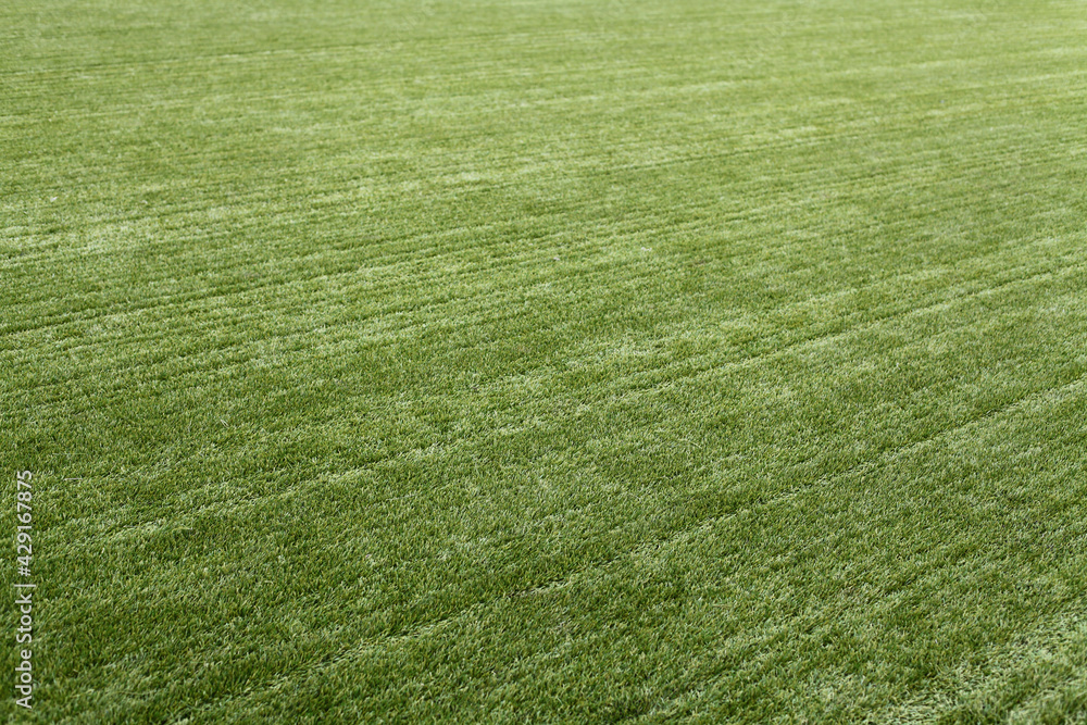 Fresh green grass, lawn texture for background, nature concept Fresh green grass, lawn texture for background, nature concept