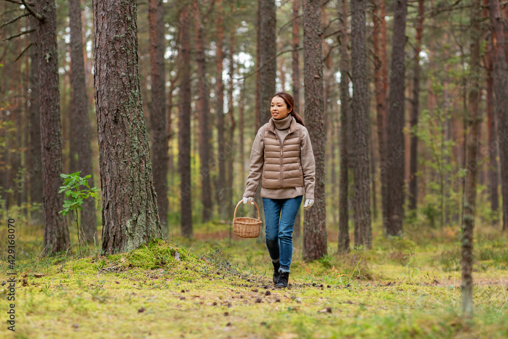 picking season, leisure and people concept - young asian woman with mushrooms in basket walking in autumn forest picking season, leisure and people concept - young asian woman with mushrooms in basket walking in autumn forest