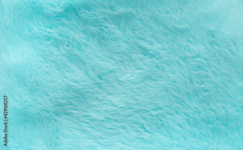 abstract blue green color fluffy wool texture background