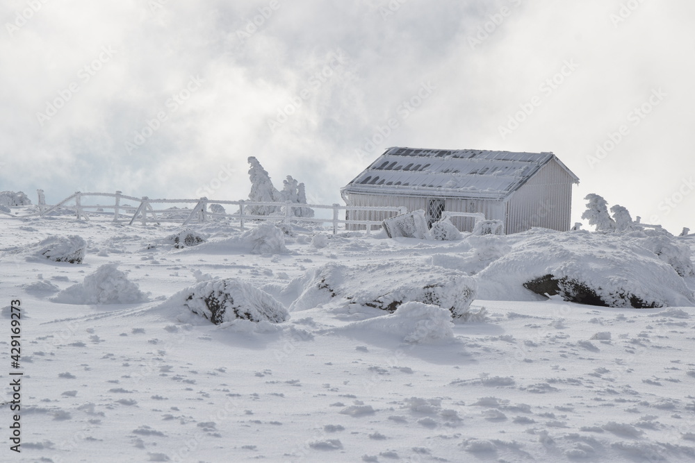 Harzer Brocken im Winter