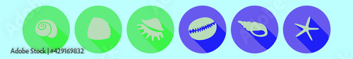 set of sea shell cartoon icon design template with various models. vector illustration isolated on blue background