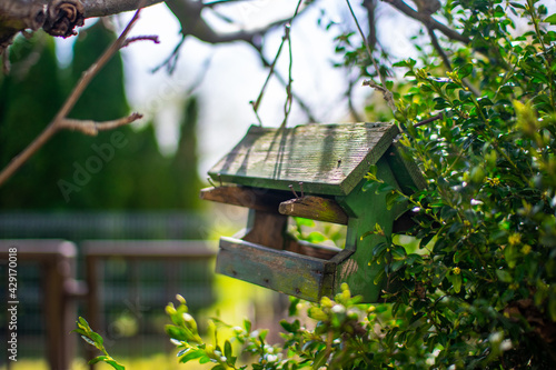 Tapety artystyczne bird feeder in the garden