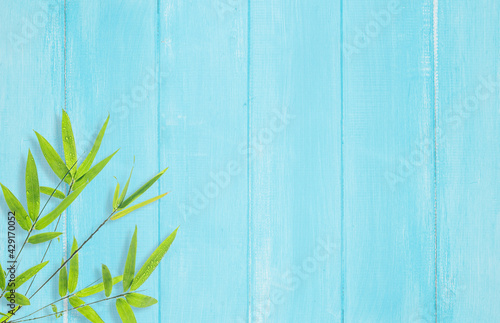 Bamboo leaves on blue wood background