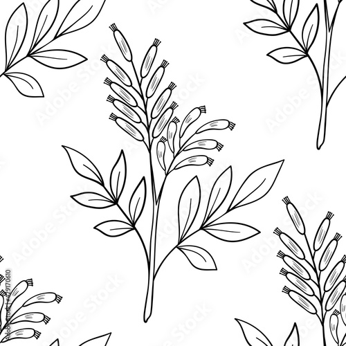 bitter wood, seamless b-w dd ww herb