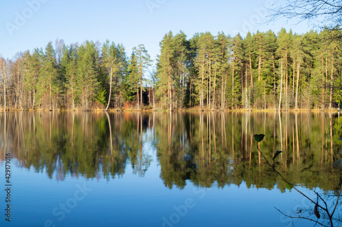 Northern boreal lake in forest with reflection trees in blue water