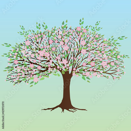 A broad tree with pink blossoms and leafs