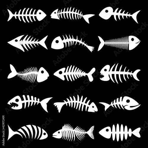 FISH BONE SKELETON BLACK BACKGROUND VECTOR COLLECTION