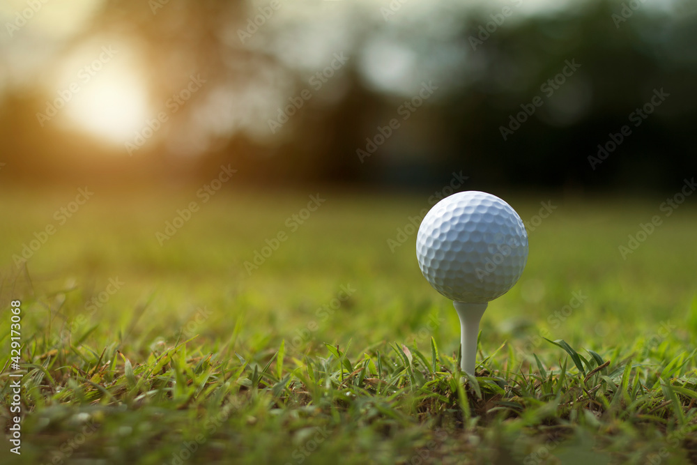golf ball on tee in a beautiful golf course with morning sunshine golf ball on tee in a beautiful golf course with morning sunshine
