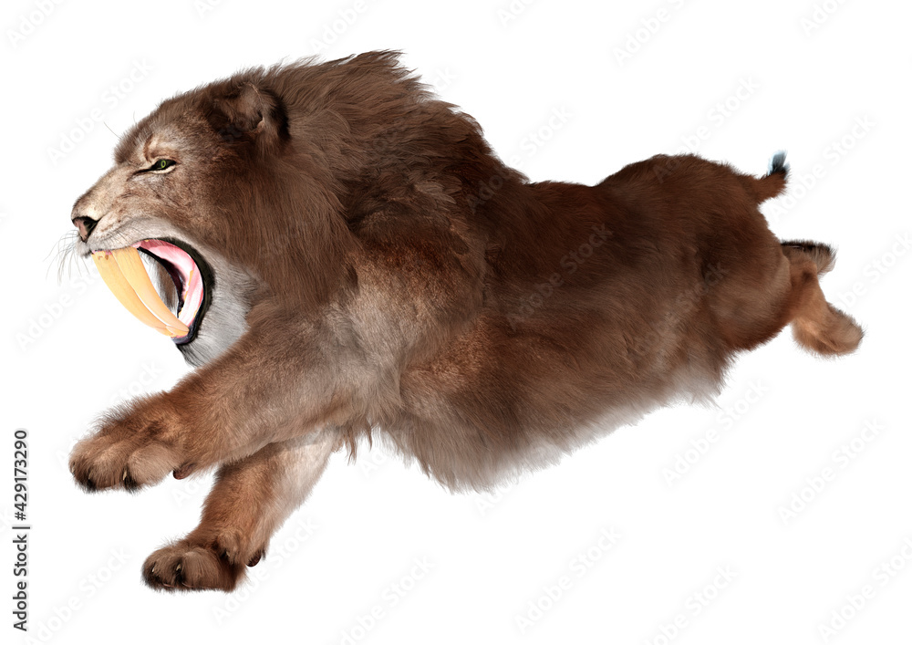 3D Rendering Sabertooth Tiger on White 3D Rendering Sabertooth Tiger on White