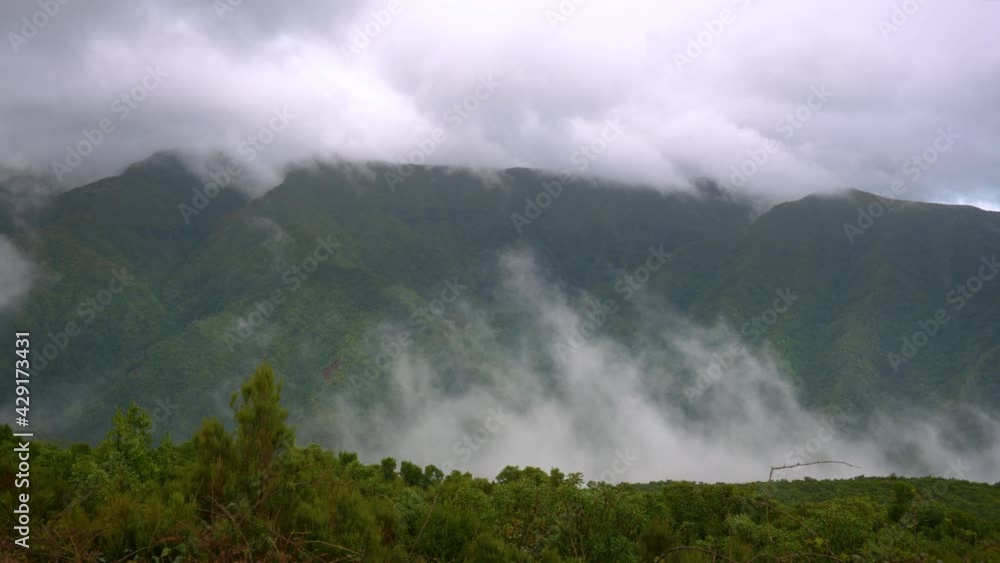 Fast moving fog in the mountains of Madeira island, Portugal Fast moving fog in the mountains of Madeira island, Portugal