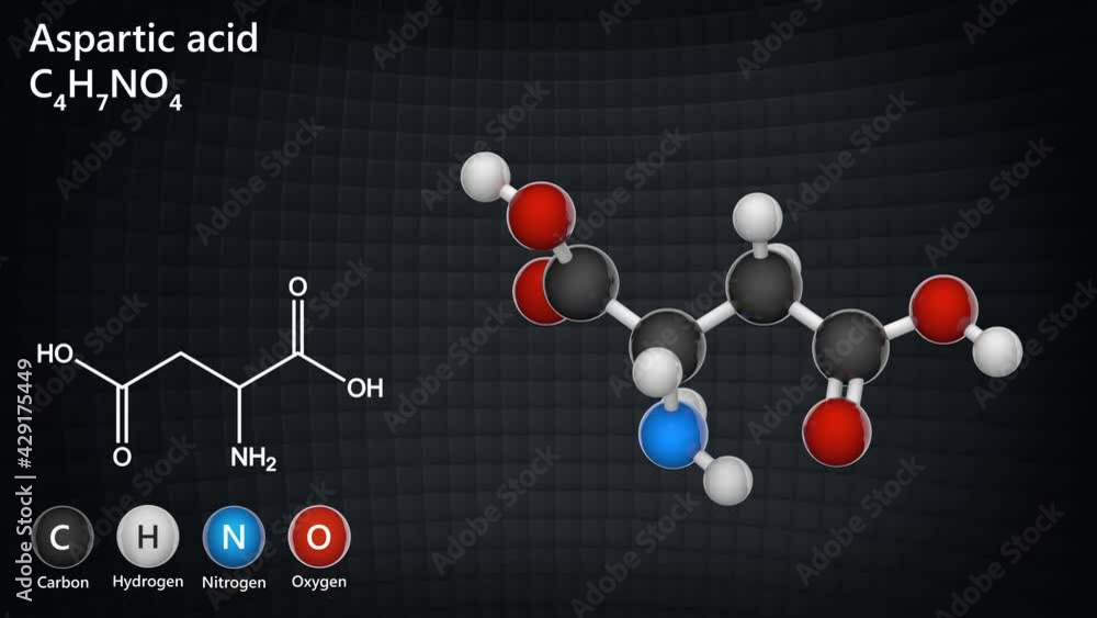 Aspartic acid (symbol Asp or D), is an amino acid that is used in the ...