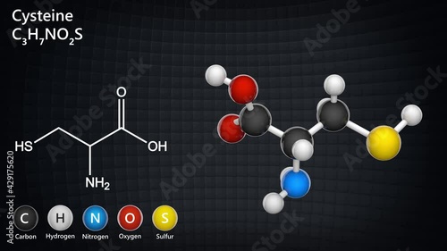 Cysteine (symbol Cys or C) is a semiessential proteinogenic amino acid. Formula: C3H7NO2S. 3D render. Seamless loop. Chemical structure model: Ball and Stick. photo