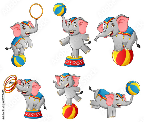 Set of cute circus elephant cartoon. Vector illustration