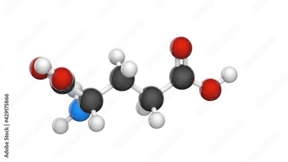 Glutamic acid (Glu), also referred to as glutamate, is one of the 20 proteinogenic amino acids. Formula: C5H9NO4. 3D render. Seamless loop. Chemical structure model: Ball and Stick. White background. Glutamic acid (Glu), also referred to as glutamate, is one of the 20 proteinogenic amino acids. Formula: C5H9NO4. 3D render. Seamless loop. Chemical structure model: Ball and Stick. White background.