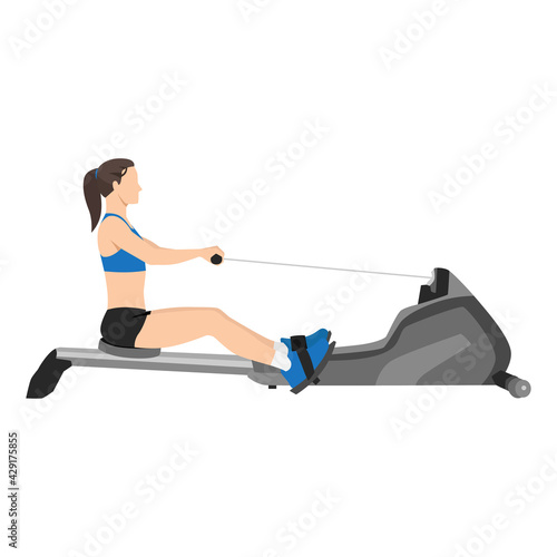 Woman doing cardio. Rowing machine flat vector illustration isolated on white background