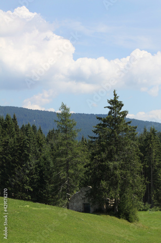 stone abandoned old house in the forest near Folgaria, Italy