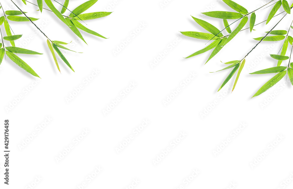 Naklejka premium bamboo isolated on white background