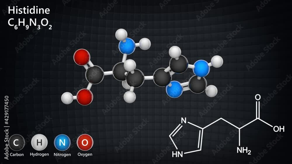 Histidine (symbol His or H) is an amino acid that is used in the ...