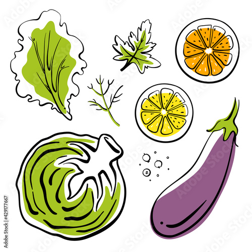 Colorful line sketch collection of vegetables, herbs, fruits isolated on white background. Doodle hand drawn fruits and vegetables. Vector illustration