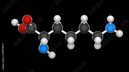 Lysine (symbol Lys or K) is an amino acid that is used in the biosynthesis of proteins. Formula: C6H14N2O2. 3D render. Seamless loop. Structure model: Ball and Stick. RGB+Alpha (Transparent) channel photo