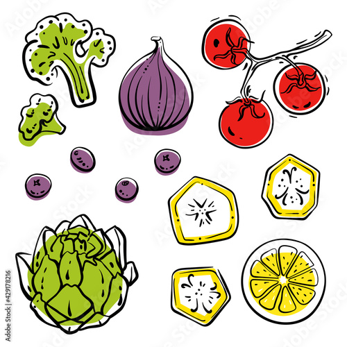 Colorful line sketch collection of vegetables, herbs, fruits and berries isolated on white background. Doodle hand drawn fruits. Vector illustration