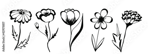 Spring flowers. Simple hand-drawn doodle style illustration. Isolated on white background