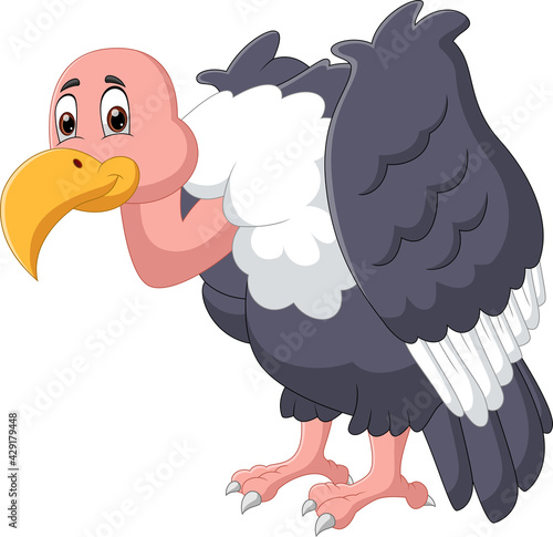 cartoon vulture isolated on white background