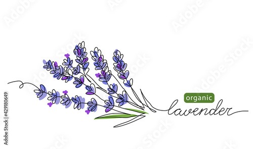 Lavender plant bunch, branch vector illustration. One continuous line drawing illustration with lettering organic lavender