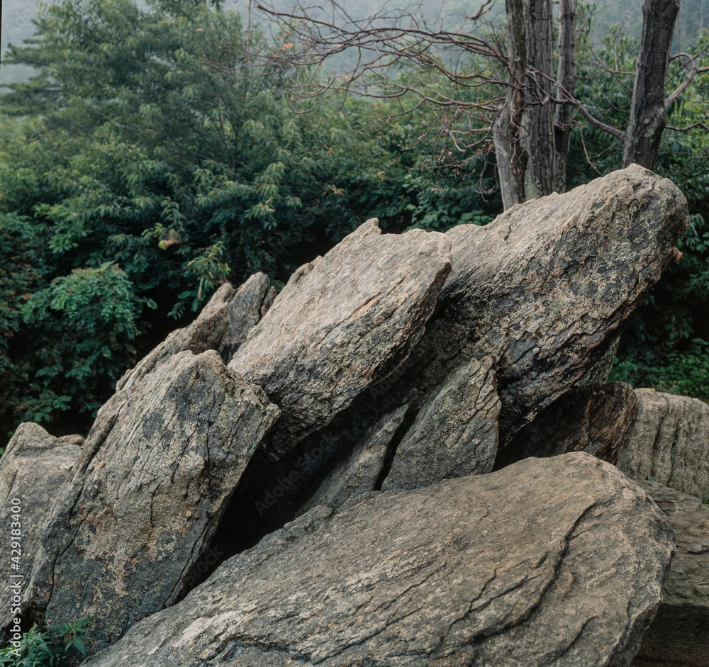 Rocks and trees at Shenandoah Park Virginia. USA. Shenandoah National Park the Blue Ridge Mountains in the U.S. state of Virginia Rocks and trees at Shenandoah Park Virginia. USA. Shenandoah National Park the Blue Ridge Mountains in the U.S. state of Virginia